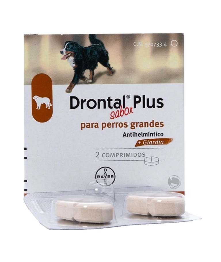 DRONTAL PLUS COMP PERRO GDE - PROMOCIONES - Farmacia Pons tu farmacia